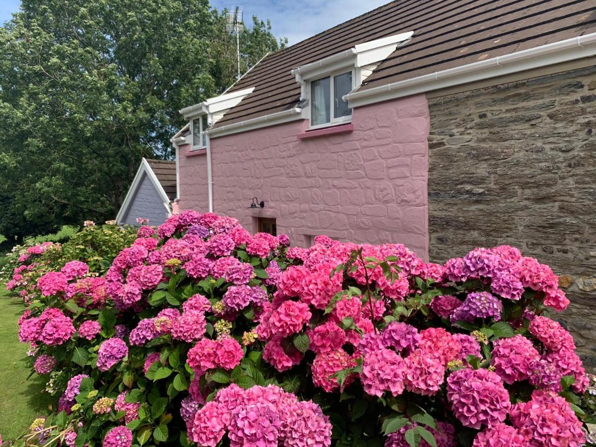 Canllefaes Cottages Cardigan Zewnętrze zdjęcie